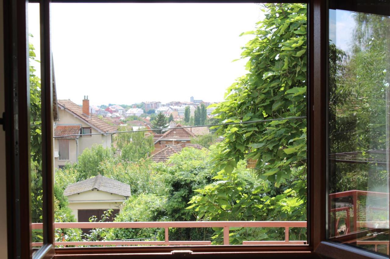 M Apartment Vrsac Bagian luar foto