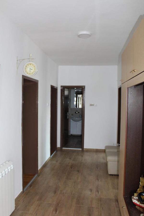 M Apartment Vrsac Bagian luar foto