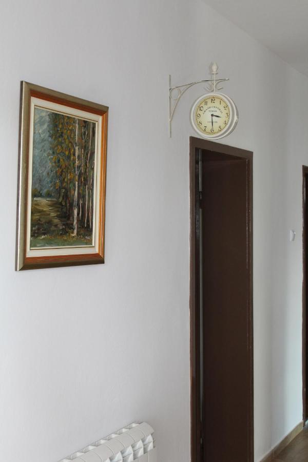 M Apartment Vrsac Bagian luar foto