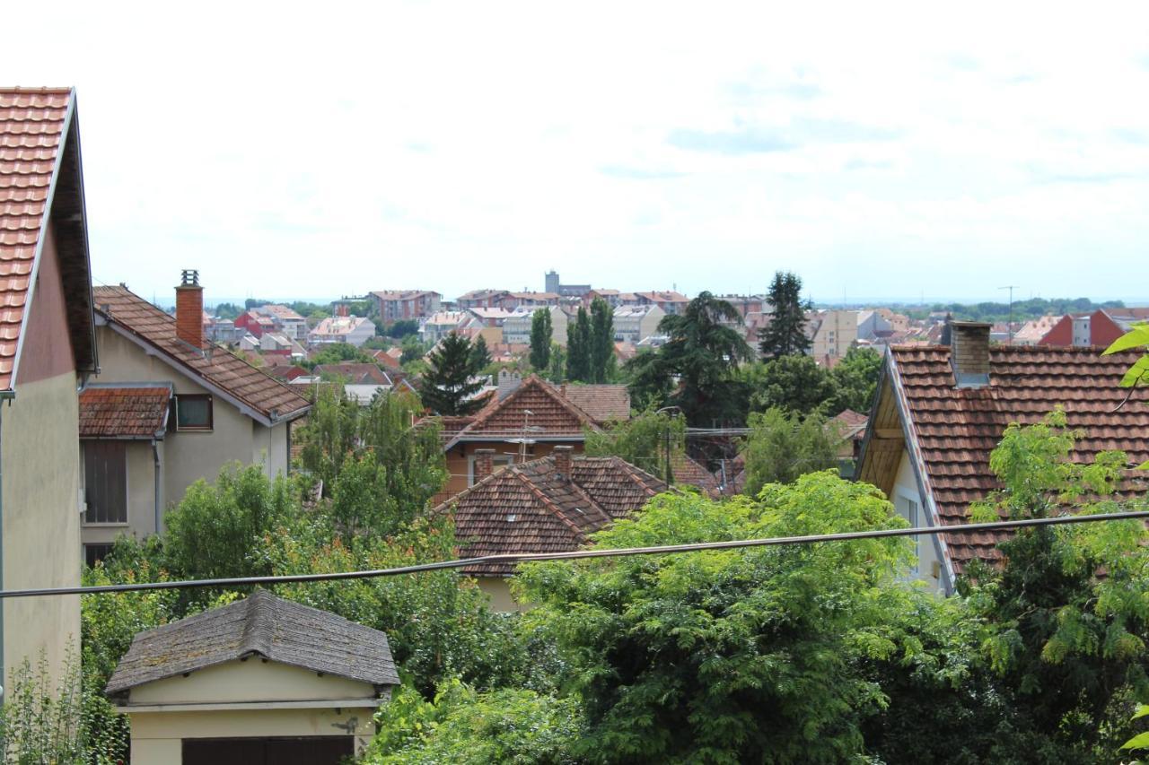 M Apartment Vrsac Bagian luar foto